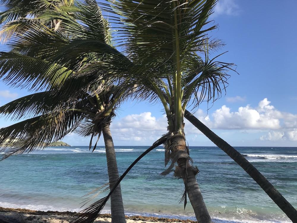 The Palms At Pelican Cove (Adults Only) La Grande Princesse Esterno foto